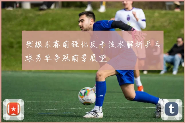 樊振东赛前强化反手技术解析乒乓球男单争冠前景展望